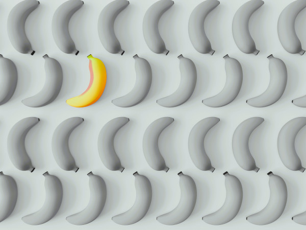 Size Doesn’t Matter – Everyone Could Use a vCSO